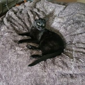 Meet your Posher, Kat